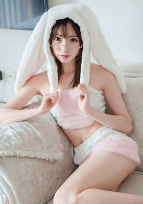 特战荣耀电视剧