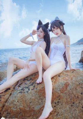 《可可西里的美丽传说》