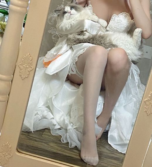完美世界动漫免费看