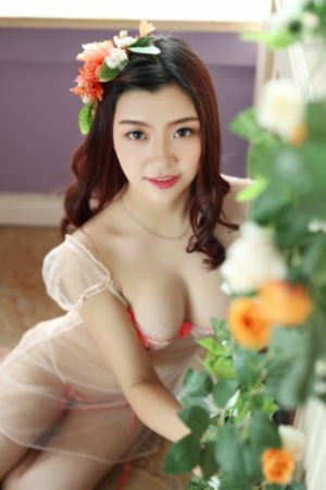少年白马第40集免费播放