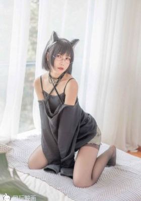 兰桐花开