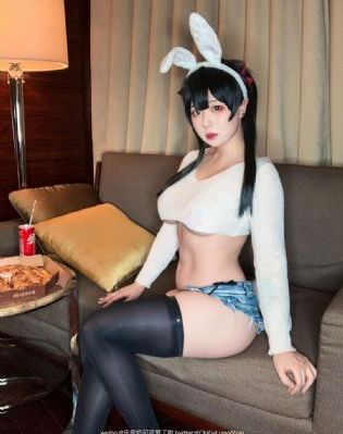 我凭本事单身电视剧免费观看