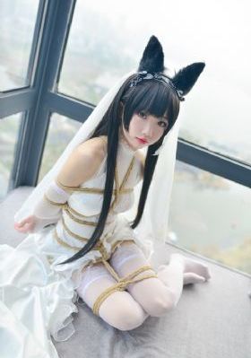 天下长河免费版在线播放