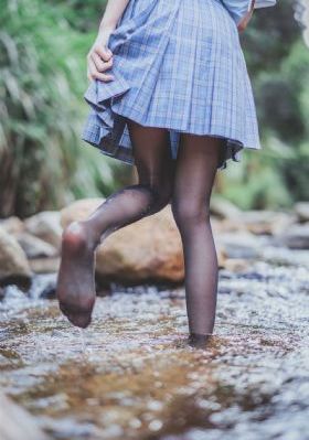 藏海花全集